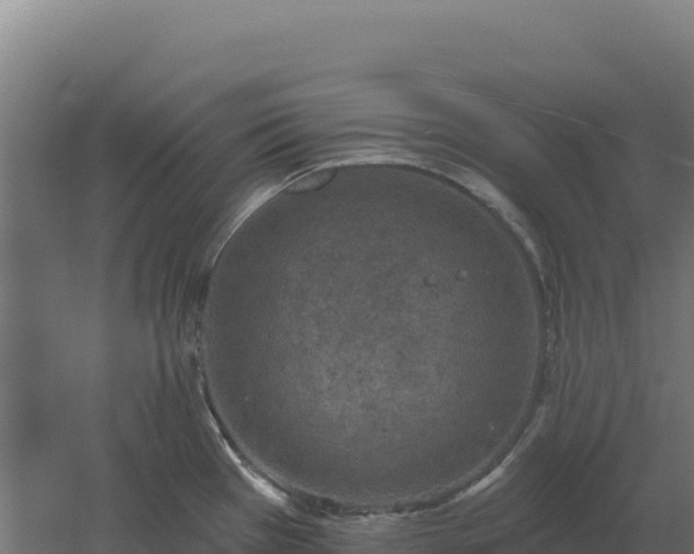 X0000061151385200511241819