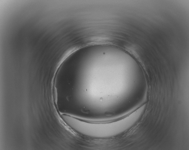 X0000061151386200511241819