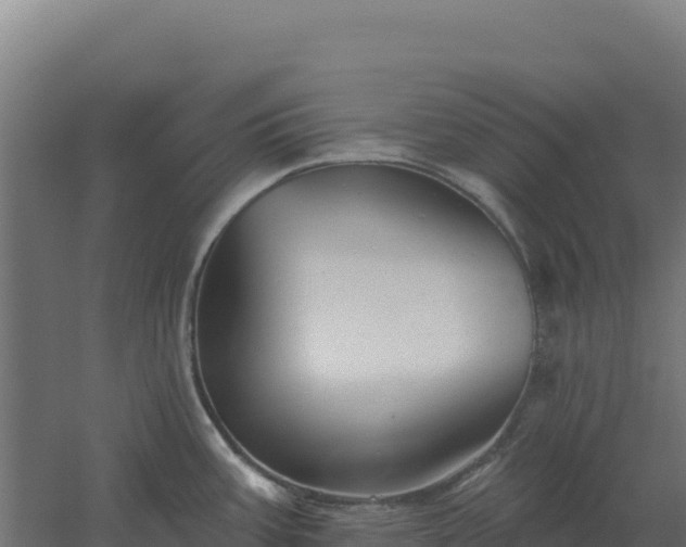 X0000061151387200511241819