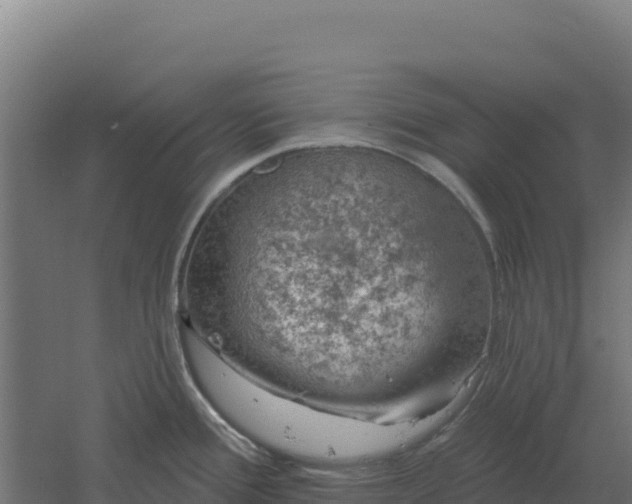 X0000061151388200511241819