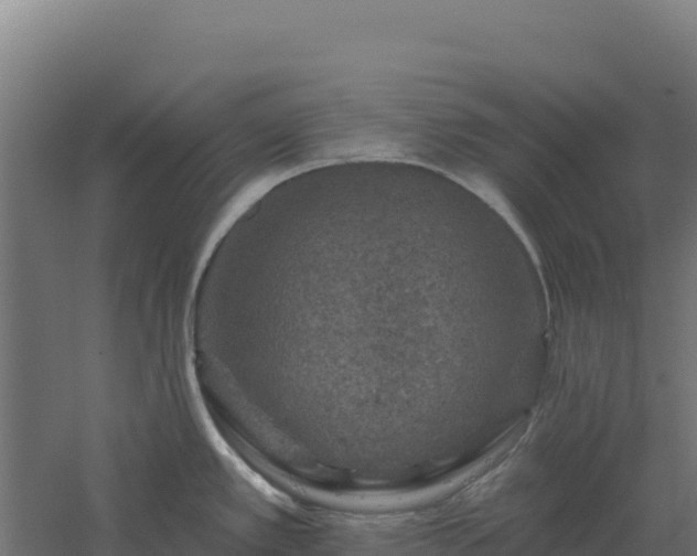 X0000061151389200511241819