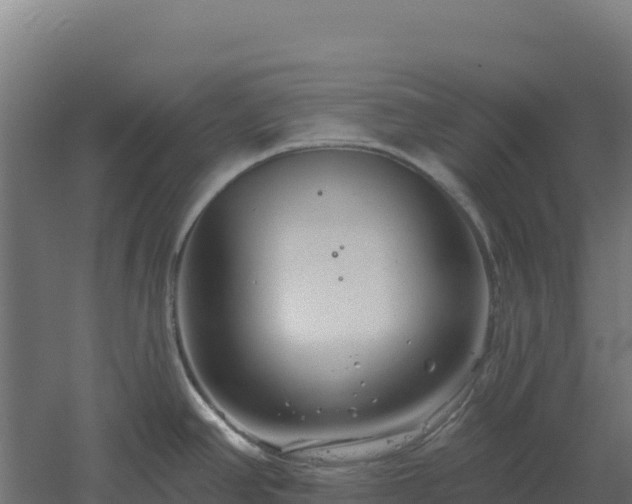 X0000061151390200511241819