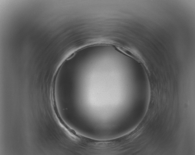 X0000061151391200511241819