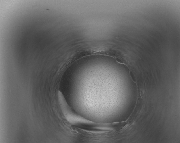 X0000061151393200511241818