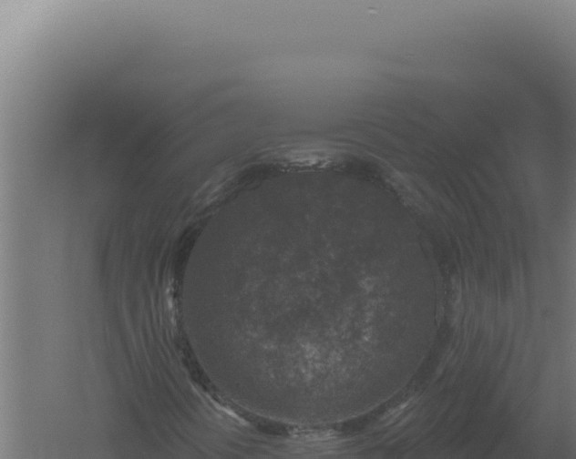 X0000061151394200511241818