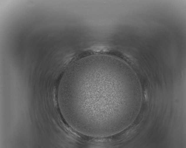 X0000061151396200511241818