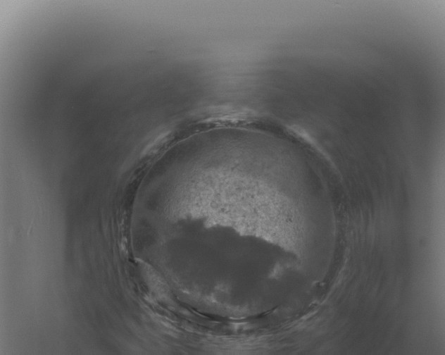 X0000061151399200511241818