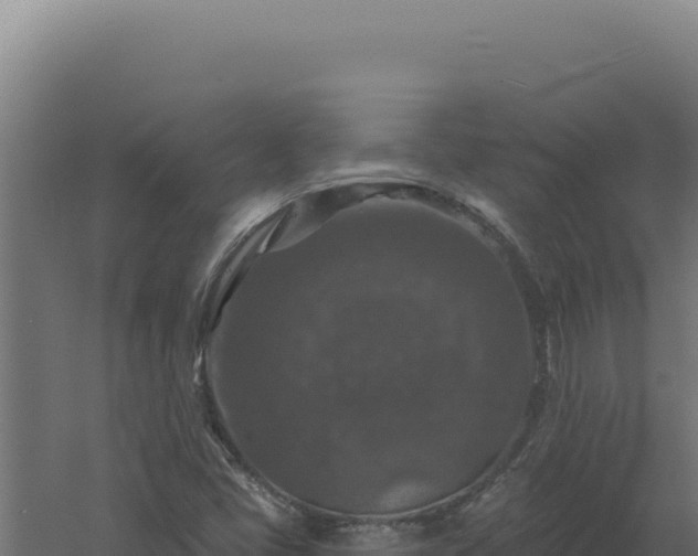 X0000061151405200511241818