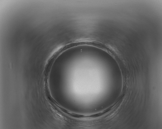 X0000061151406200511241818