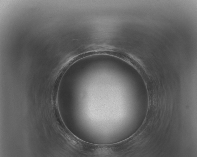 X0000061151407200511241818