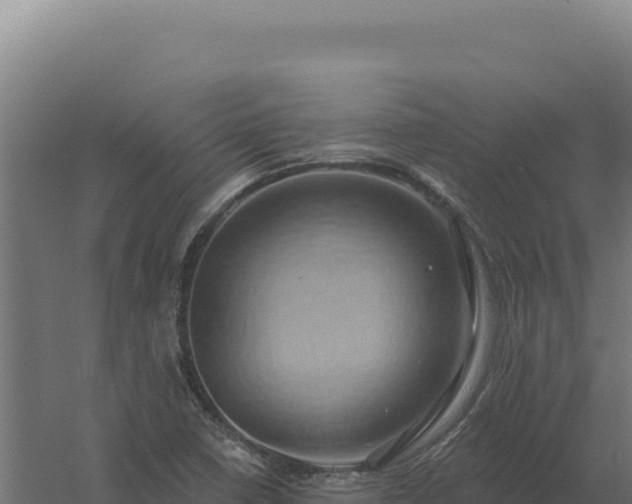 X0000061151410200511241818