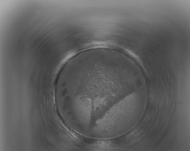 X0000061151411200511241818