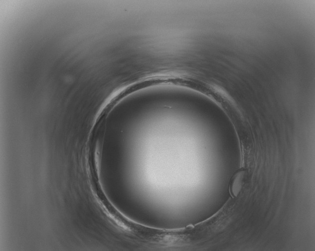 X0000061151412200511241818