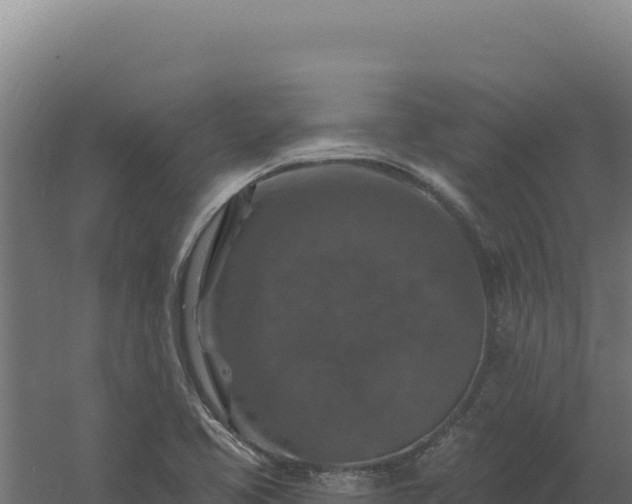 X0000061151413200511241818