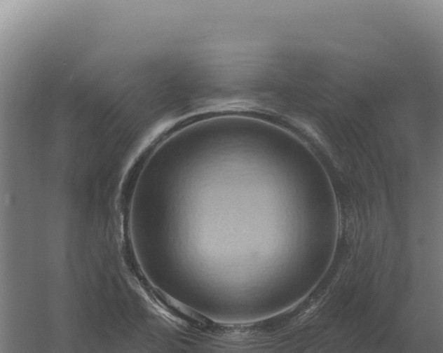 X0000061151414200511241818