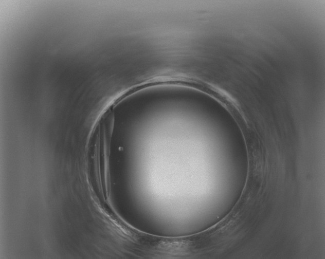 X0000061151415200511241818