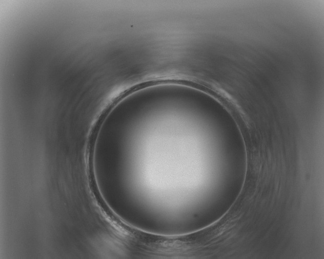 X0000061151416200511241819