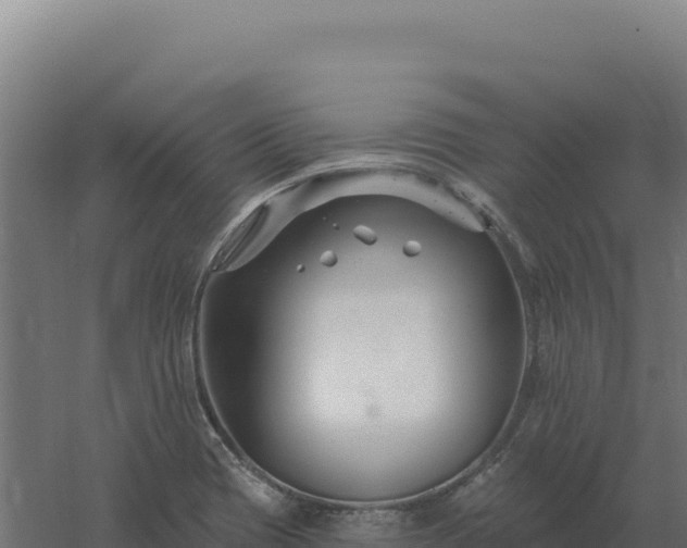 X0000061151417200511241819