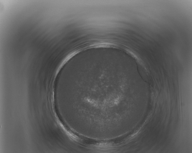 X0000061151418200511241819