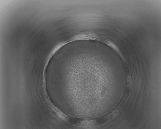 X0000061151419200511241819