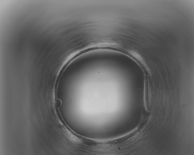 X0000061151420200511241819