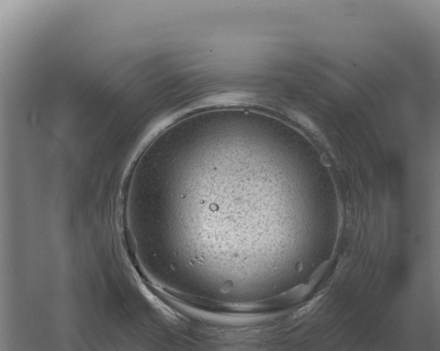 X0000061151421200511241819