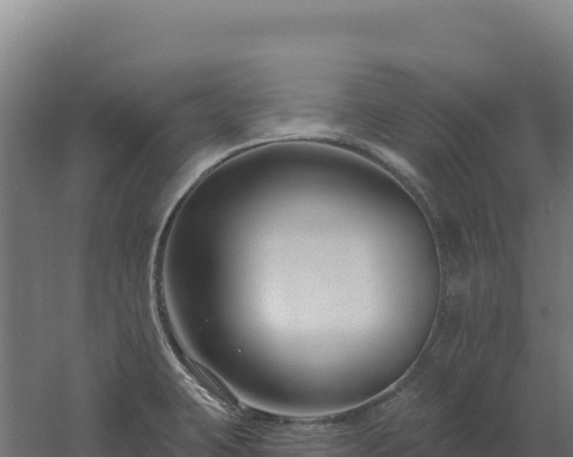 X0000061151423200511241819