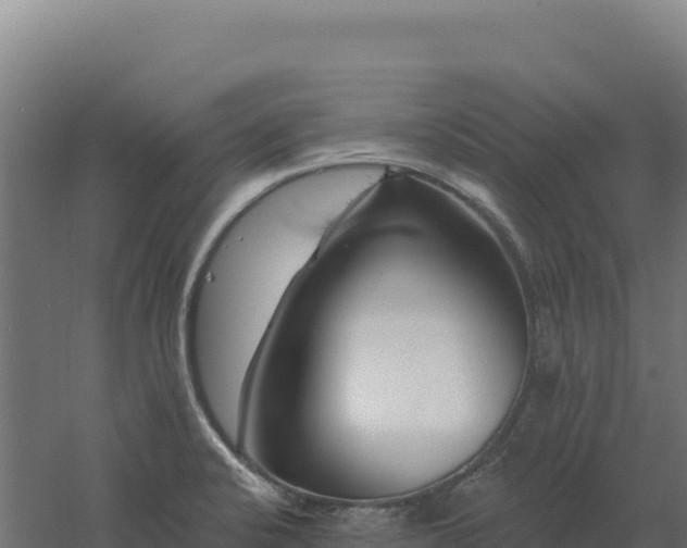 X0000061151424200511241819