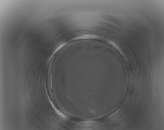 X0000061151425200511241819