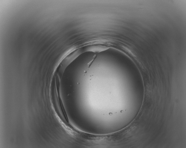 X0000061151426200511241819