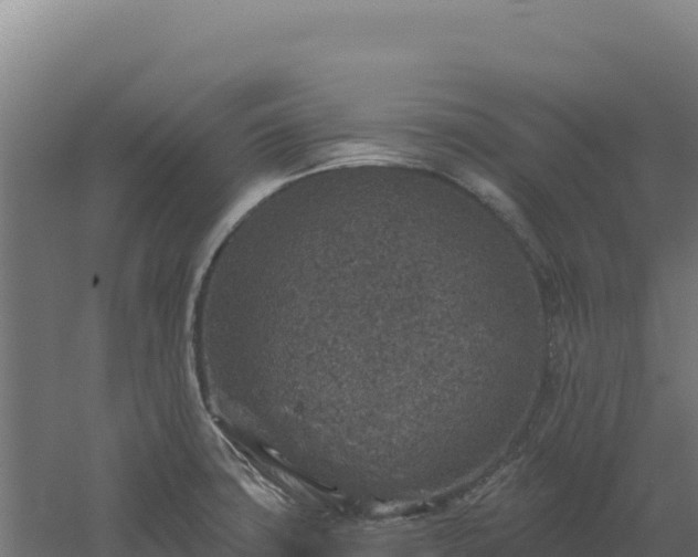 X0000061151427200511241819