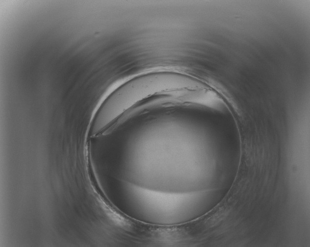 X0000061151428200511241819