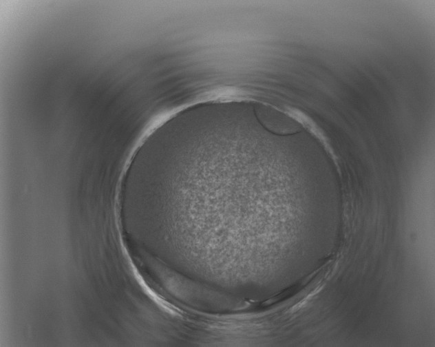 X0000061151429200511241819