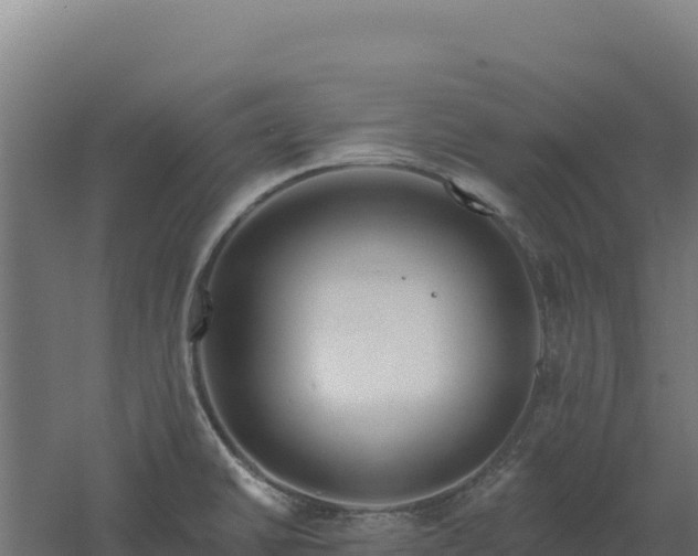 X0000061151430200511241819