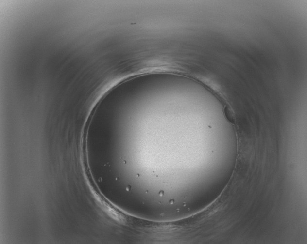 X0000061151431200511241819