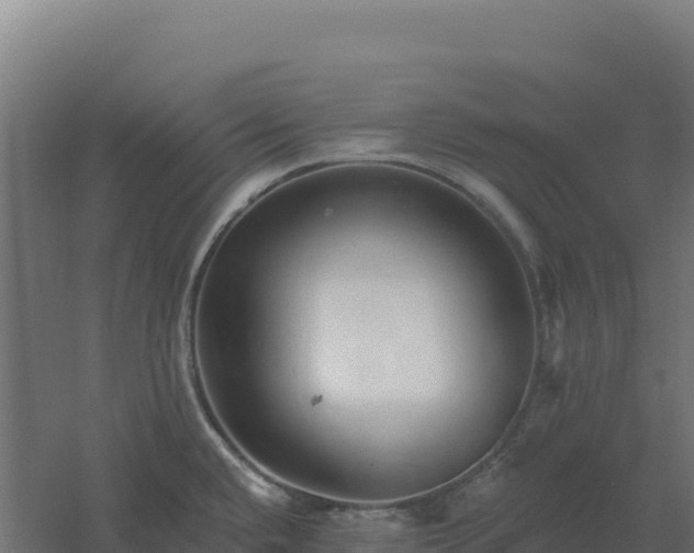 X0000061151432200511241819