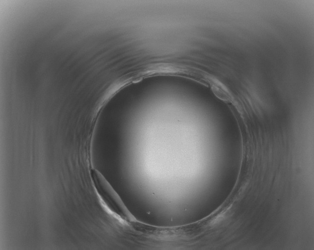 X0000061151433200511241819