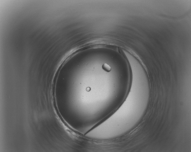 X0000061151434200511241819