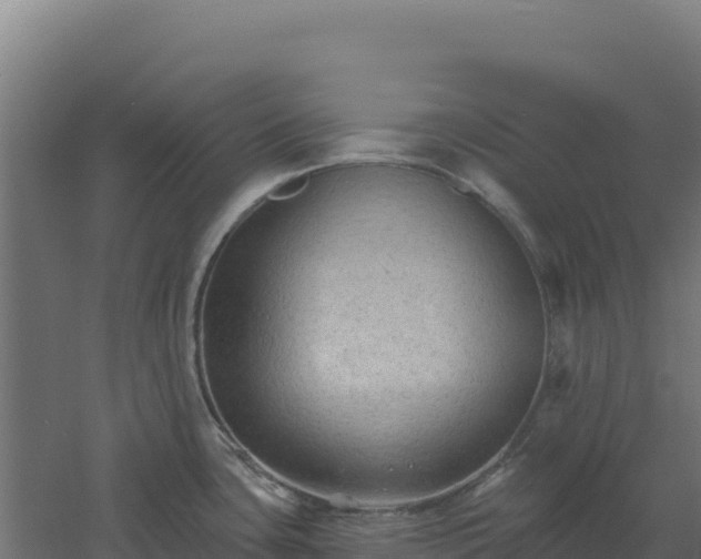 X0000061151435200511241819