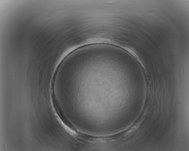 X0000061151438200511241819