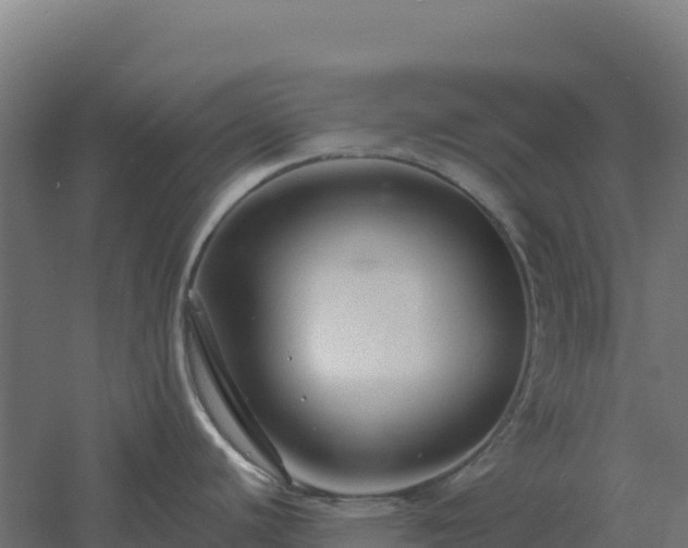 X0000061151440200511241819