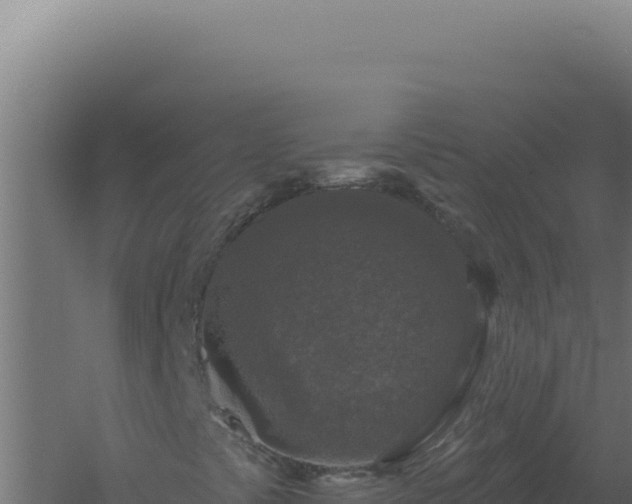 X0000061151441200511241818