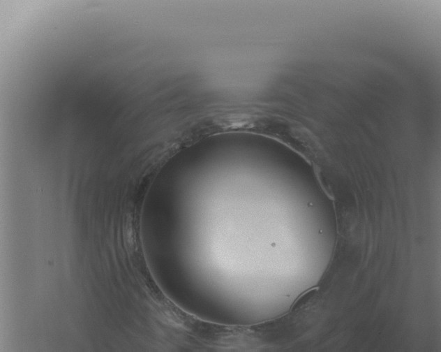 X0000061151442200511241818