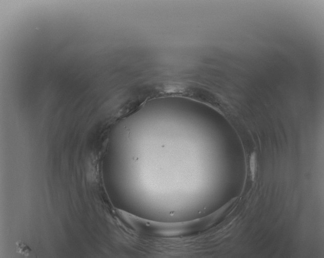 X0000061151443200511241818