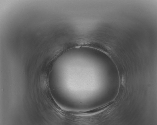 X0000061151444200511241818