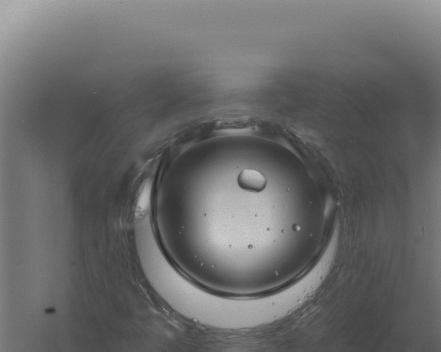 X0000061151445200511241818