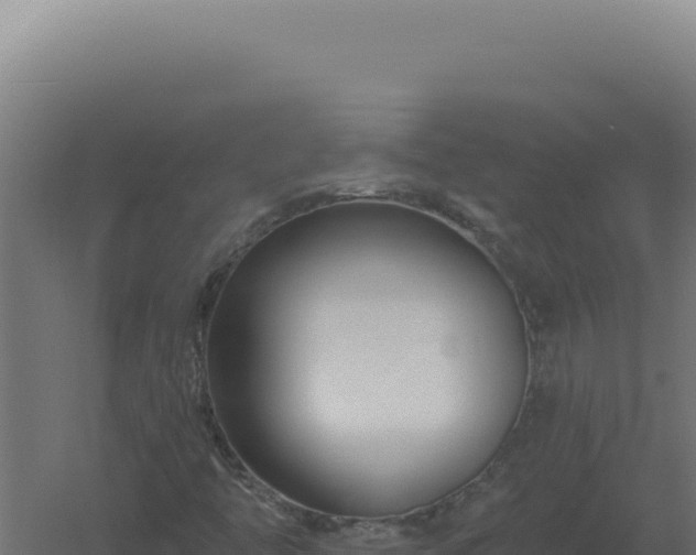 X0000061151446200511241818