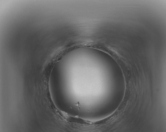 X0000061151447200511241818