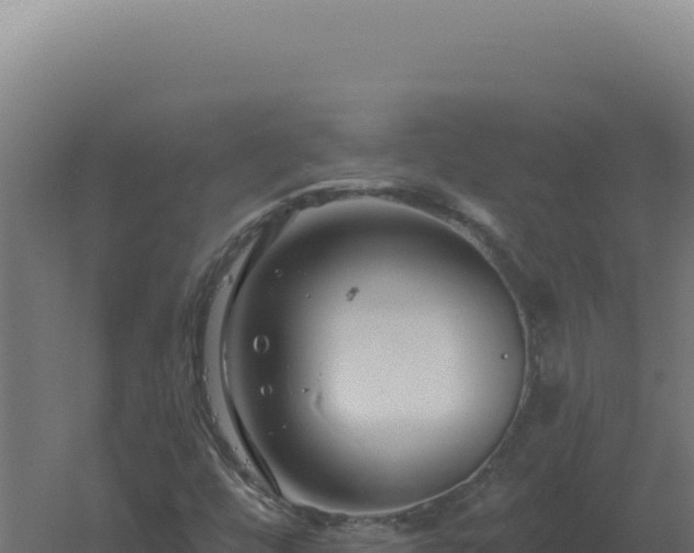 X0000061151448200511241818