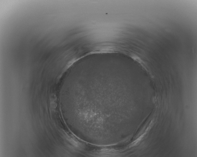 X0000061151449200511241818